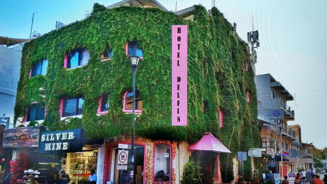Boutique Hotel Delfin 5Th Avenue Playa del Carmen Luaran gambar