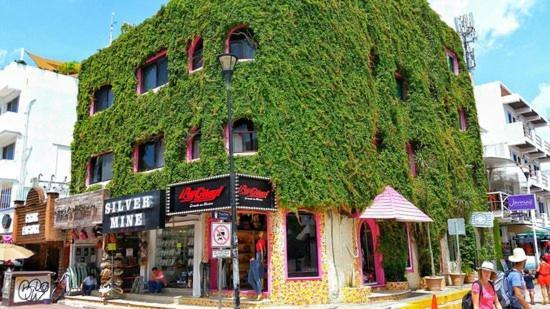 Boutique Hotel Delfin 5Th Avenue Playa del Carmen Luaran gambar