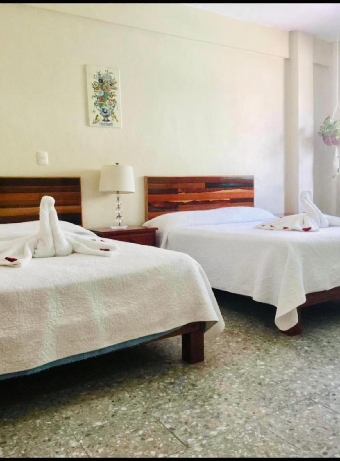 Boutique Hotel Delfin 5Th Avenue Playa del Carmen Luaran gambar