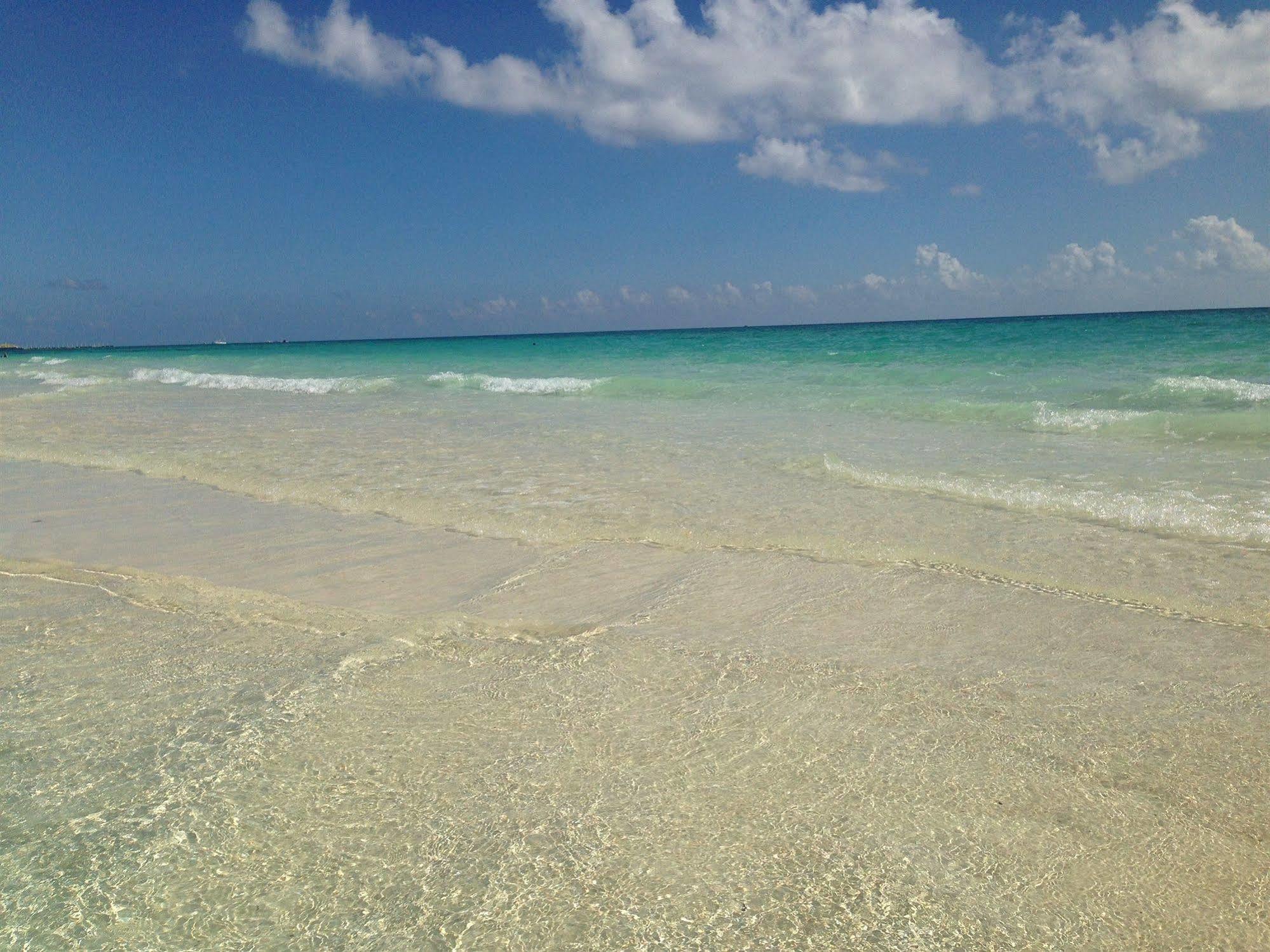 Boutique Hotel Delfin 5Th Avenue Playa del Carmen Luaran gambar