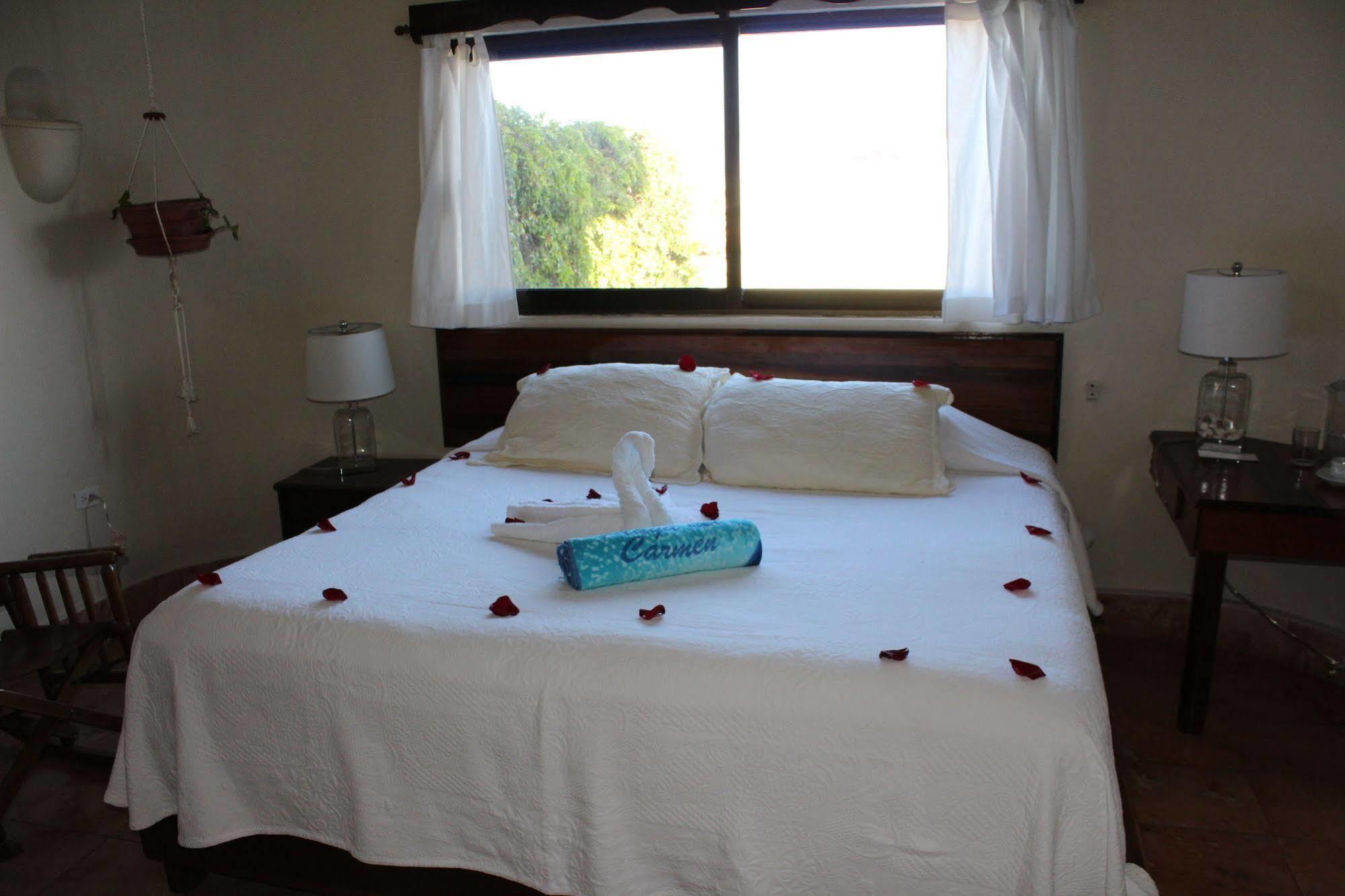 Boutique Hotel Delfin 5Th Avenue Playa del Carmen Luaran gambar